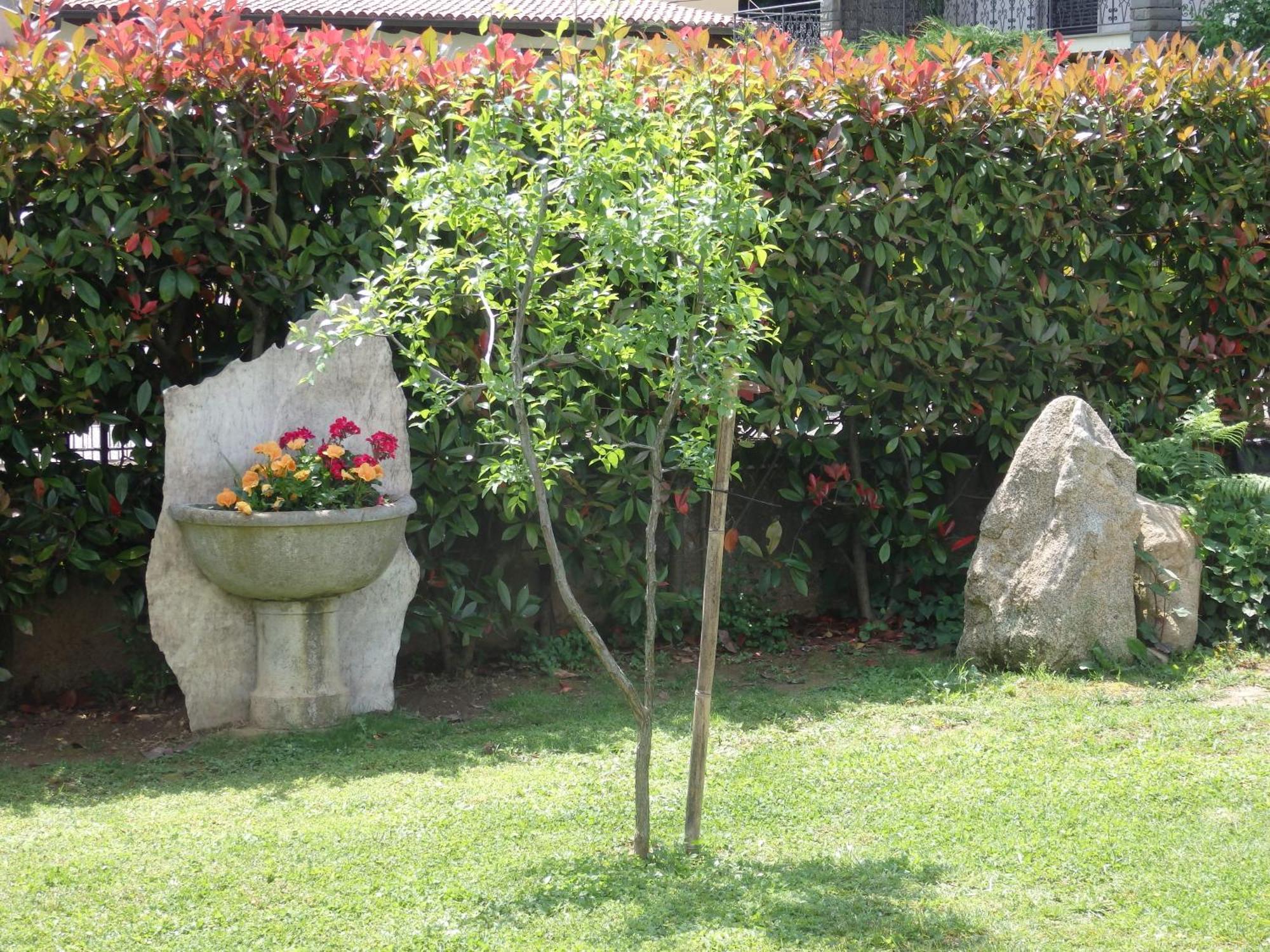 Bed and Breakfast Riflessi d'Arte à Provaglio d'Iseo Extérieur photo